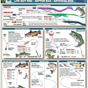 Freshwater Bait Rigging Chart #1 - Waterproof Quick Reference Fishing Guide - (Live Bait Rigs, Artificial Rigs, and Bottom Rigs) - Double-Sided & Easy to Read - Great Gift for Beginners